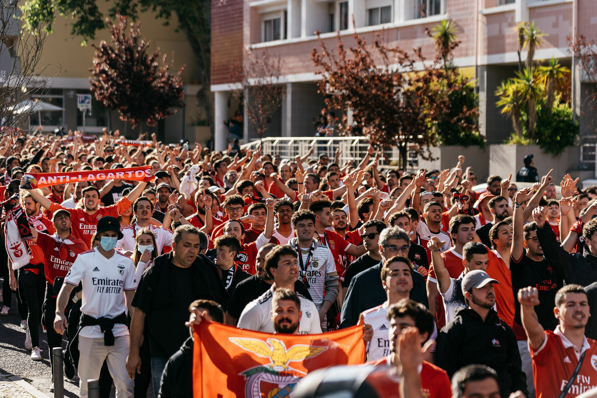Foto Derbi Sporting - Benfica // Acompanhamento Claque Benfica Foto Derbi Sporting - Benfica // Acompanhamento Claque Benfica - Imagem 4
