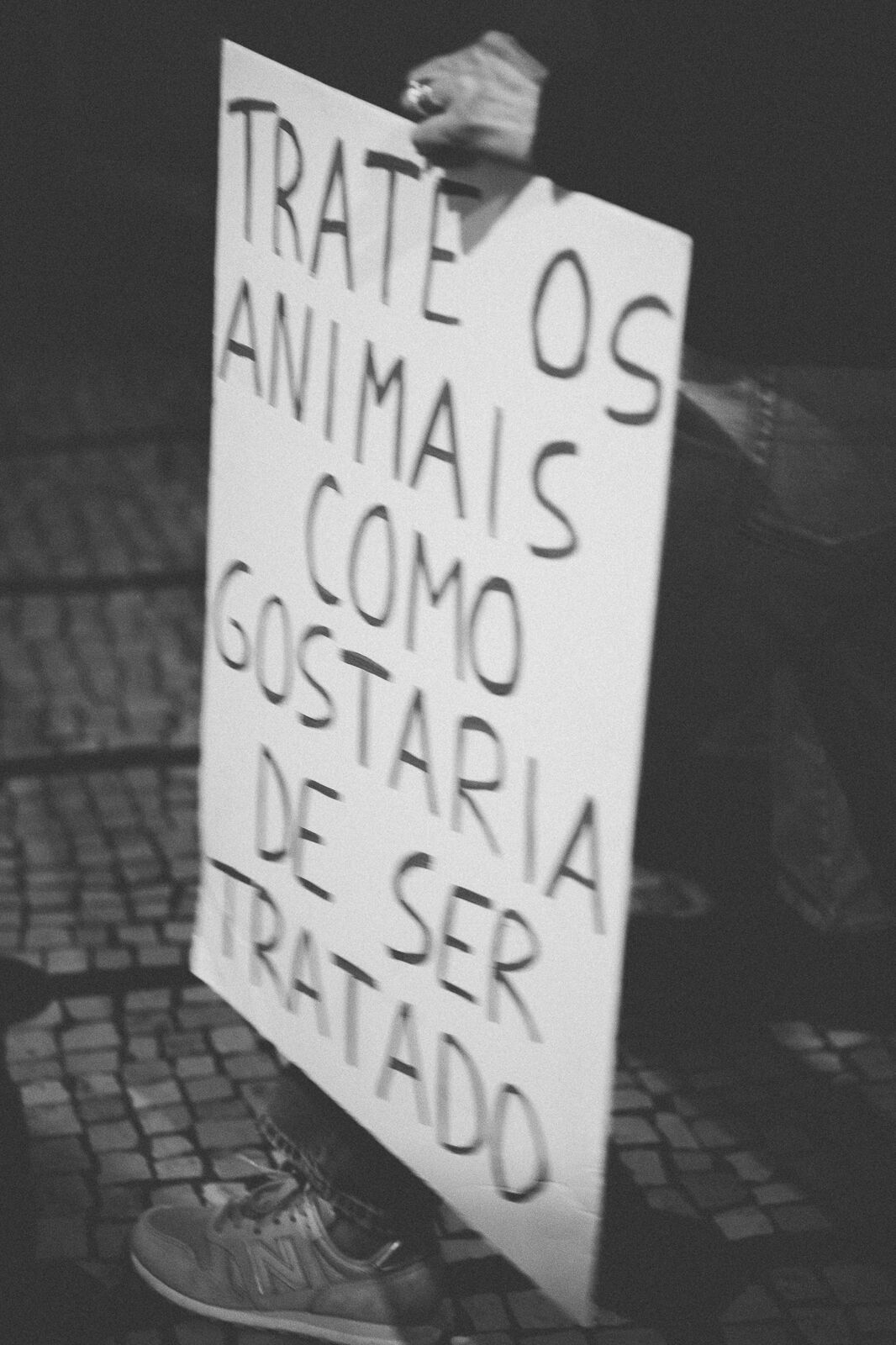 Foto Manifestação De Defesa Animal Foto Manifestação De Defesa Animal - Imagem 39