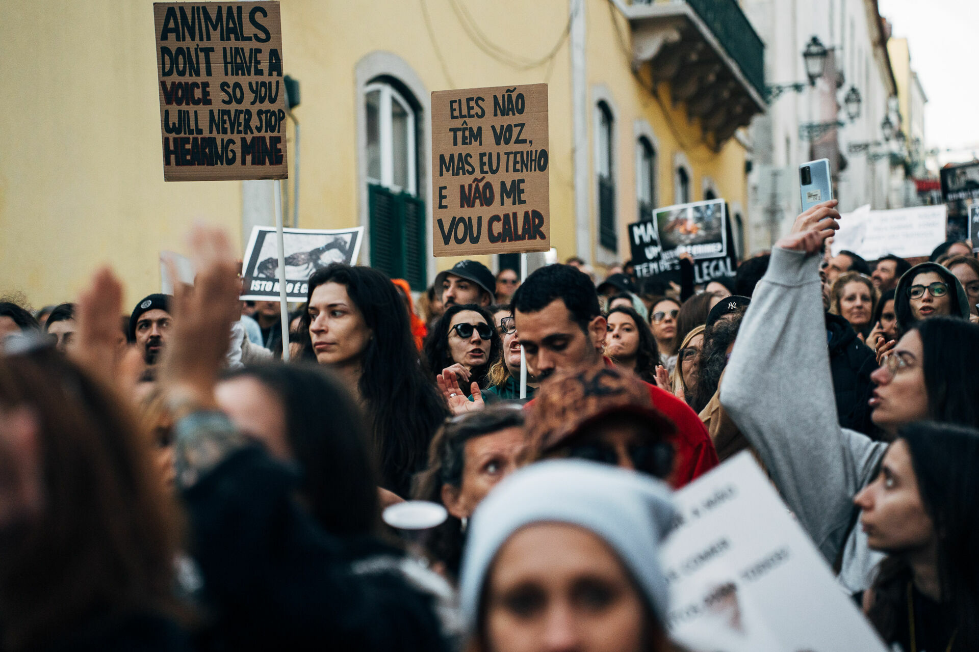 Foto Manifestação De Defesa Animal Foto Manifestação De Defesa Animal - Imagem 32