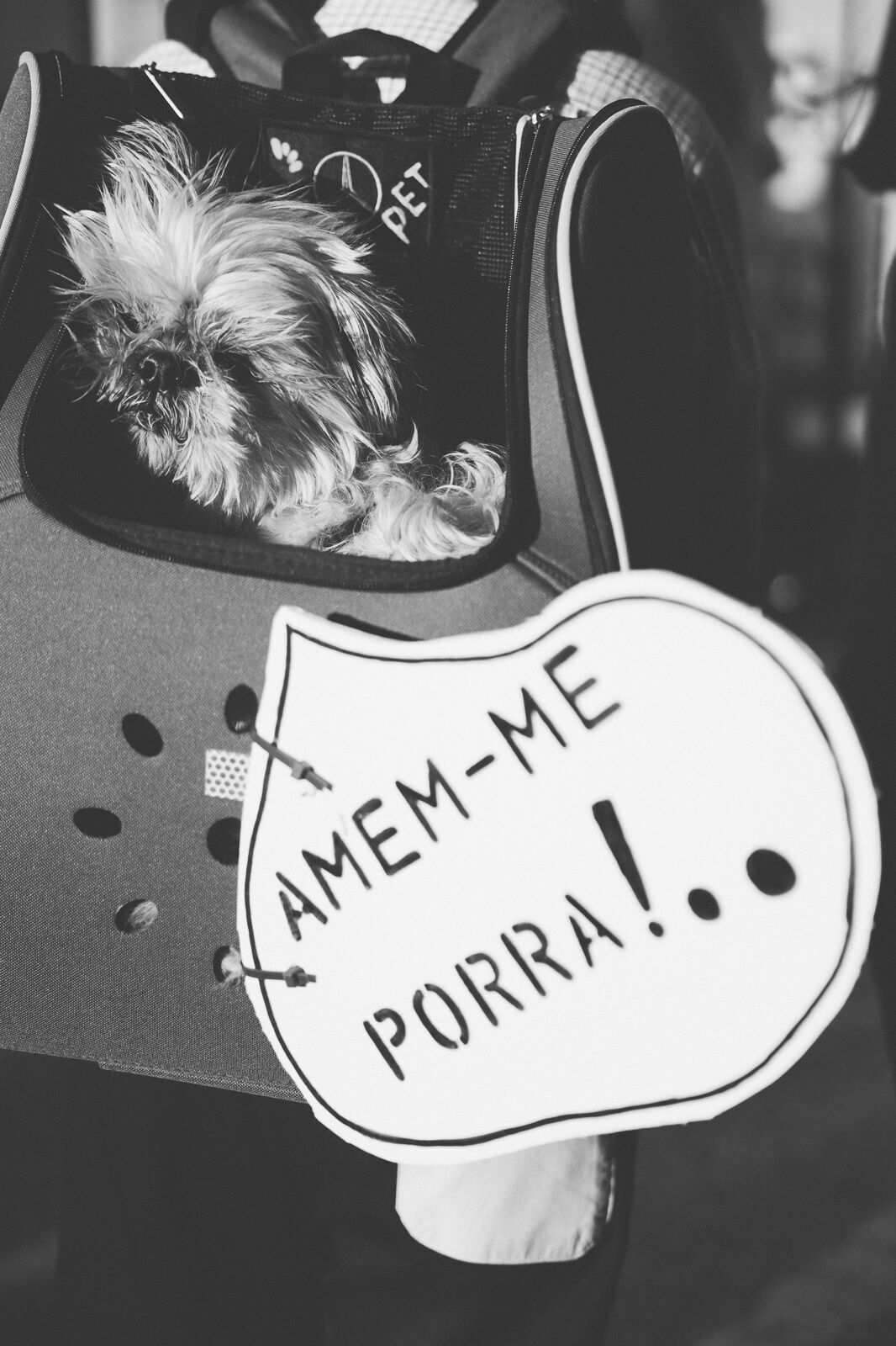 Foto Manifestação De Defesa Animal Foto Manifestação De Defesa Animal - Imagem 27