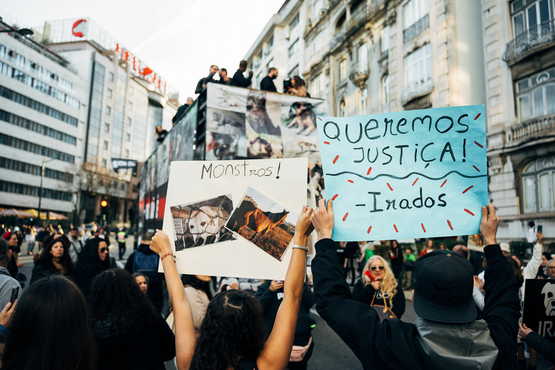 Foto Manifestação De Defesa Animal Foto Manifestação De Defesa Animal - Imagem 26