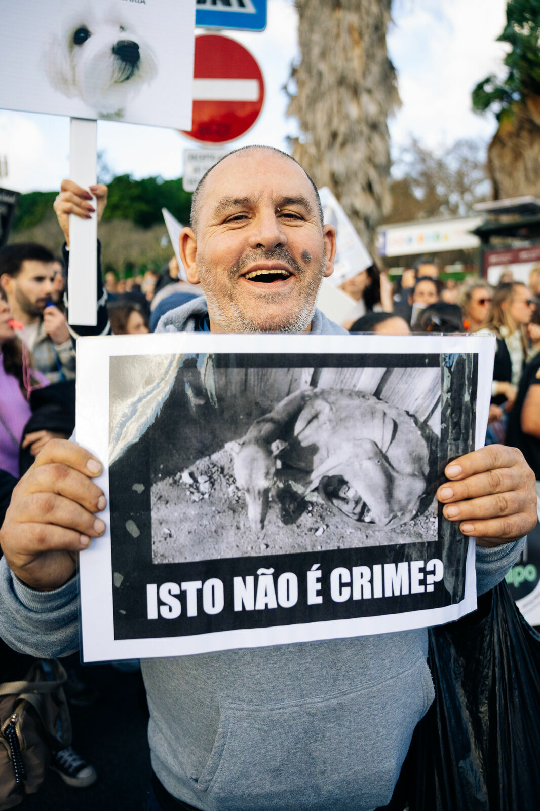 Foto Manifestação De Defesa Animal Foto Manifestação De Defesa Animal - Imagem 5